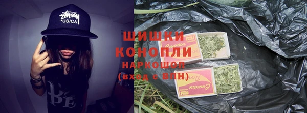 индика Нестеровская